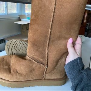 Brand New Tall Chestnut Uggs